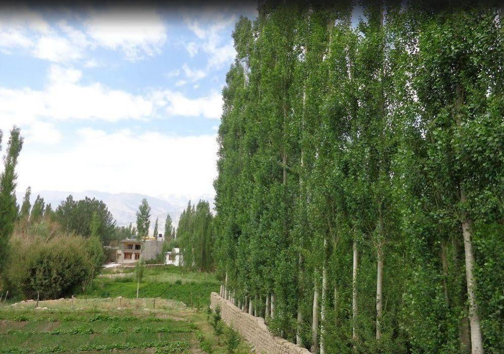 Hotel Ladakh Heaven Léh Exteriér fotografie